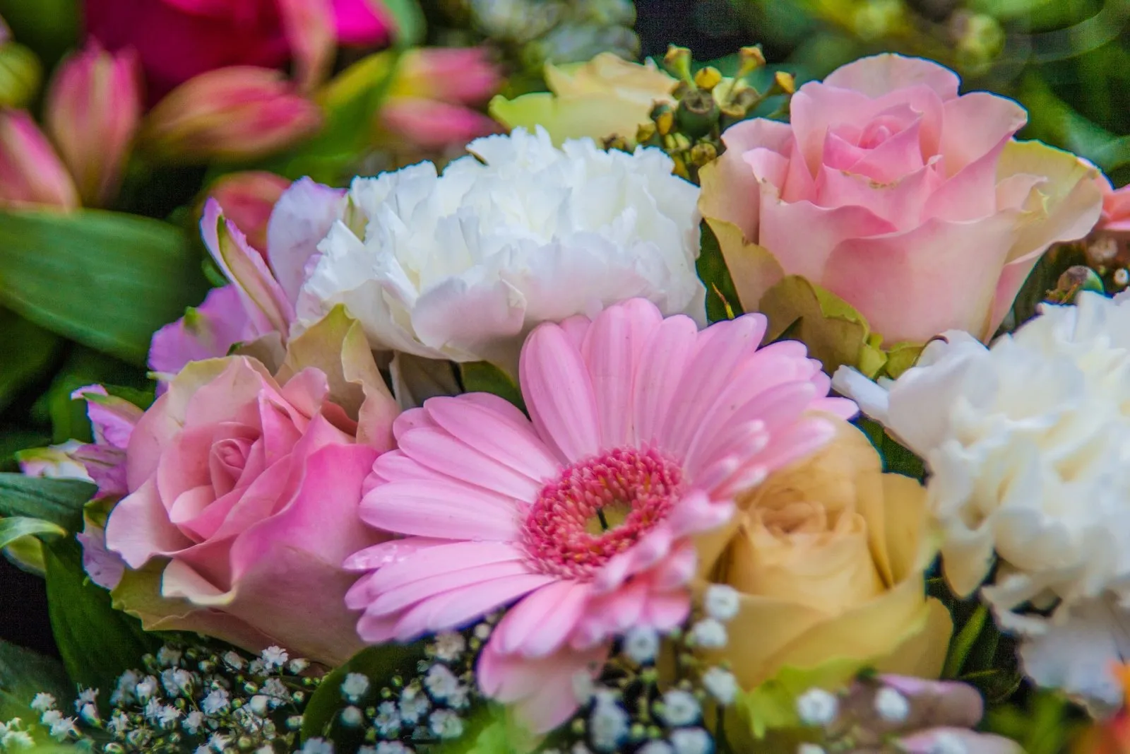 Experiencia de bienvenida con flores en el Hotel Boutique Cases Noves en Guadalest